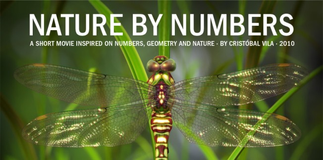 Nature-by-Numbers